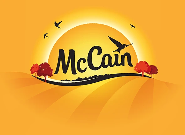 McCain CRM Project Cover